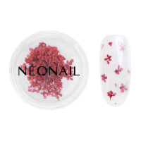 NeoNail - Dried Flowers - Nail Decoration - 5 pieces  - 08 RED - 08 RED
