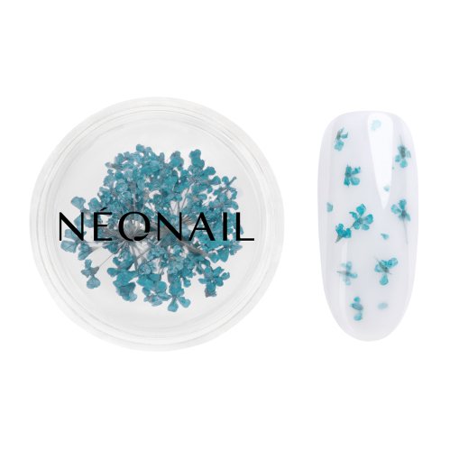 NeoNail - Dried Flowers - Kwiatowa ozdoba do paznokci - 5 sztuk  - 05 TURQOISE