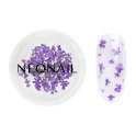 NeoNail - Dried Flowers - Nail Decoration - 5 pieces  - 06 VIOLET  - 06 VIOLET 