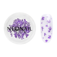 NeoNail - Dried Flowers - Nail Decoration - 5 pieces  - 06 VIOLET  - 06 VIOLET 