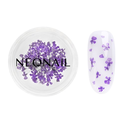 NeoNail - Dried Flowers - Kwiatowa ozdoba do paznokci - 5 sztuk  - 06 VIOLET 