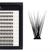 Many Beauty - Many Lashes - Master Box - 20D SUPERBLACK - Silk Eyelashes Individuals - Large set of eyelash tufts - 200 pcs - D - D