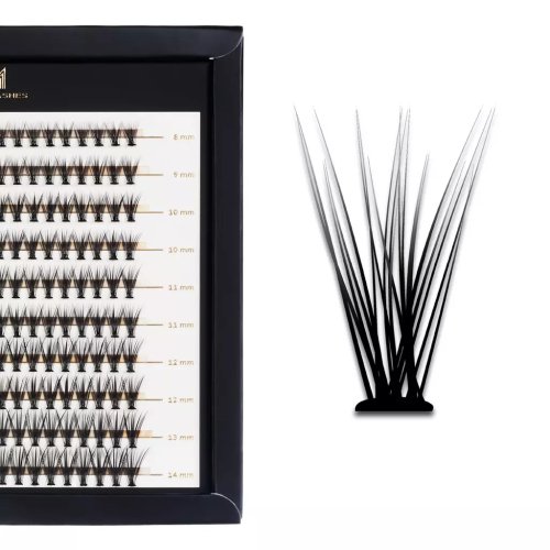 Many Beauty - Many Lashes - Master Box - 20D SUPERBLACK - Silk Eyelashes Individuals - Duży zestaw kępek do rzęs - 200 szt - C