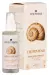 ORIENTANA - Firming Face Essence - Ujędrnienie - Esencja do twarzy na noc - Śluz ślimaka + Trehaloza - 50 ml
