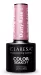 CLARESA - COLOR SOAKOFF UV/LED - Dusty Rose - Lakier hybrydowy do paznokci - 5 g