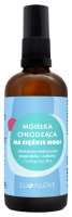 LULLALOVE - Cooling Leg Mist - Mgiełka chłodząca na ciężkie nogi - 100 ml