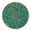 Glam SHOP - Turbo Pigment - Eyeshadow - Refill  - Flora - Flora