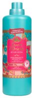 Tesori d'Oriente - AYURVEDA - Aromatic Laundry Softener - Fabric softener - Amla and patchouli oil - 1160 ml