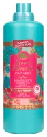Tesori d'Oriente - AYURVEDA - Aromatic Laundry Softener - Płyn do płukania tkanin - Olejek amla i paczula - 1160 ml