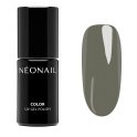 NeoNail - COLOR UV GEL POLISH - Lakier hybrydowy - Twoje Dzieło Sztuki - 7,2 ml - 11558-7 Evergreen Mood  - 11558-7 Evergreen Mood 