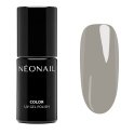 NeoNail - COLOR UV GEL POLISH - Lakier hybrydowy - Twoje Dzieło Sztuki - 7,2 ml - 11554-7 Walnut Poem  - 11554-7 Walnut Poem 
