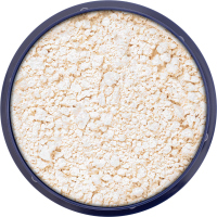 KRYOLAN - Translucent Powder - Talc-Free - Puder transparentny bez talku - 29 g - ART. 05700/10 - TL 11N - TL 11N