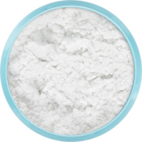 KRYOLAN - DERMACOLOR - Fixing Powder - Talc Free - Puder bez talku - 12 g - ART. 75700/10  - P 1N - P 1N