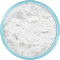 KRYOLAN - DERMACOLOR - Fixing Powder - Talc Free - Puder bez talku - 40 g - ART. 75702/10  - P 1N - P 1N