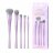 Jessup - Everyday Glam Collection - 5pcs Everyday Essentials Brush Set - Set of 5 brushes for face and eyes - Luxury Purple - T515