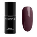 NeoNail - COLOR UV GEL POLISH - Lakier hybrydowy - Fall in Colors - 7,2 ml - 12189-7 CHARMING STORY  - 12189-7 CHARMING STORY 