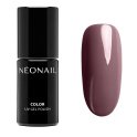 NeoNail - COLOR UV GEL POLISH - Lakier hybrydowy - Fall in Colors - 7,2 ml - 12229-7 JOLLY STATE - 12229-7 JOLLY STATE