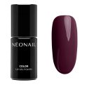 NeoNail - COLOR UV GEL POLISH - Lakier hybrydowy - Fall in Colors - 7,2 ml - 12241-7 MYSTERIOUS TALE - 12241-7 MYSTERIOUS TALE