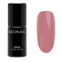 NeoNail - COLOR UV GEL POLISH - Lakier hybrydowy - 7,2 ml - 10823-7 Frozen Roses - 10823-7 Frozen Roses
