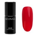 NeoNail - COLOR UV GEL POLISH - Lakier hybrydowy - 7,2 ml - 10849-7 Your Timeless Choice  - 10849-7 Your Timeless Choice 