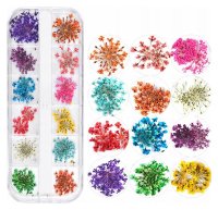 Clavier - Dried flowers for nails - 12 pcs.