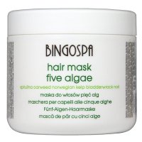 BINGOSPA - Hair Mask Five Alage - Maska do włosów z pięcioma algami - 500g		