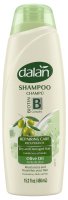 Dalan - Biotin B Complex - Repairing Care Shampoo - Repairing shampoo with olive oil and biotin - 450 ml