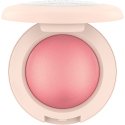 Catrice - Soft Glam Baked Blush - 5.6 g - 040 Midnight Berry - 040 Midnight Berry