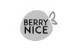 BERRY NICE
