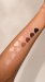 Mess Beauty - Soft Nudes - Palette da 12 ombretti