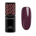 NeoNail - Harmonia Piękna - UV GEL POLISH - hybridní lak - 7,2 ml - 13196-7 DEEP TRUFFLE - 13196-7 DEEP TRUFFLE
