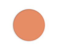 KRYOLAN - DERMACOLOR Camouflage - מייקאפ/קמופלאז' לפנים - מילוי - ART. 75005 - 4 g - D 56
