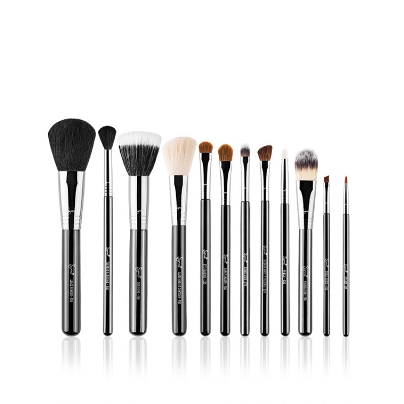 Professional Set of 12 Makeup Brushes