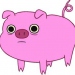 pigi