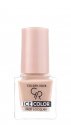 Golden Rose - Ice Color Nail Lacquer – Lakier do paznokci - 107 - 107