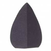 Pierre René - BLENDING SPONGE