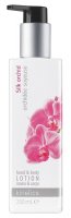 Kinetics - Hand & Body Lotion - Nourishing lotion for hands and body - SILK ORCHID - 250ml