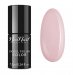 NeoNail - UV GEL POLISH COLOR - WARMING MEMORIES - Hybrid Varnish - 6 ml - 5319-7 MULLED WINE