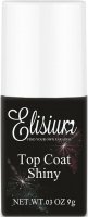 Elisium - Top Coat Shiny - Glossy top