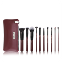 JESSUP - LUXURY SERIES KIT - Set of 10 make-up brushes + Wash bag - Plum Queen Set - T259 + CB004