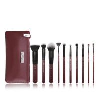 JESSUP - LUXURY SERIES KIT - Set of 10 make-up brushes + Wash bag - Plum Queen Set - T259 + CB004