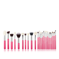 JESSUP - Individual Brushes Set - Set of 25 make-up brushes - T195 Rose Carmin / Silver