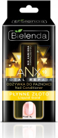 Bielenda - ANX Total Repair - Nail Conditioner - Liquid Gold - Odżywka do paznokci - Płynne złoto - 11 ml 